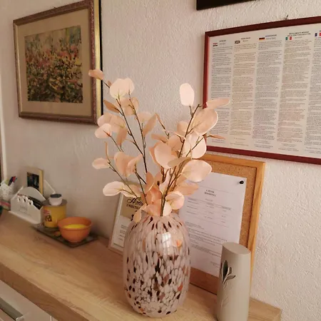 House Bjedov 公寓 波维尔亚